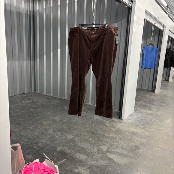 NWT Wild Fable Deep Brown Corduroy Pants 28/31” Inseam Low Rise Flare Women’s 28 - Picture 1 of 16